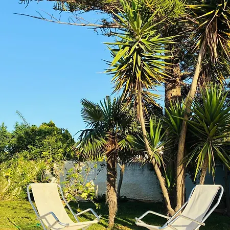 Sasa Villa *