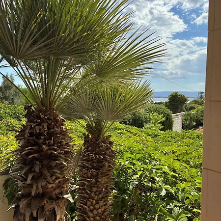 Sasa Villa